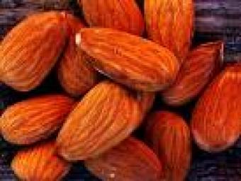 Own 6666 hectares Almond trees Shanghai